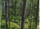 Lot 25 Forest View Place, Blind Bay, BC V0E 1H1