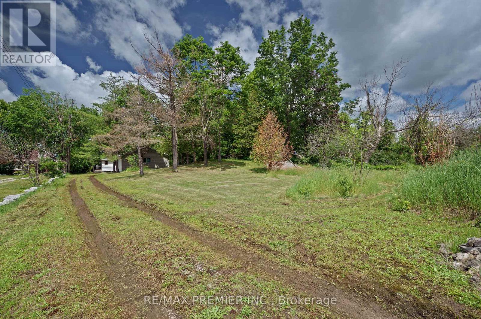 9 Brotherston Road, Kawartha Lakes, Ontario  K0M 2B0 - Photo 38 - X13486400
