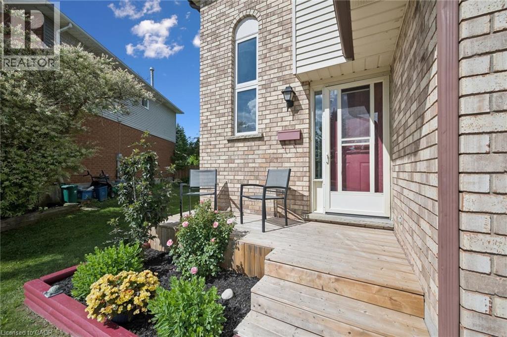 282 Newbury Drive, Kitchener, Ontario  N2N 3A3 - Photo 3 - 40841979