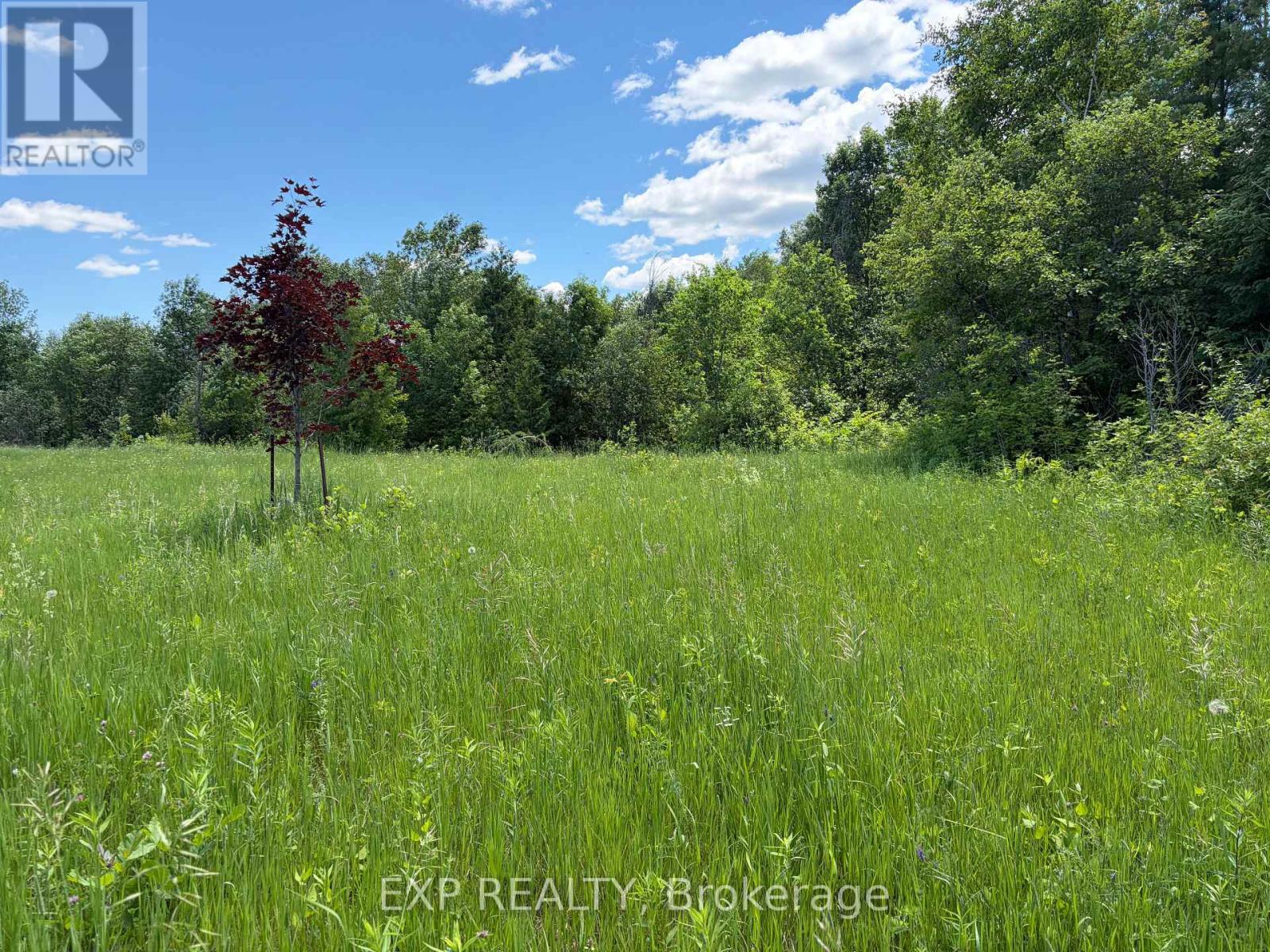 151 Chris Ruddy Road, Admaston/bromley, Ontario  K0J 1S0 - Photo 3 - X13486770