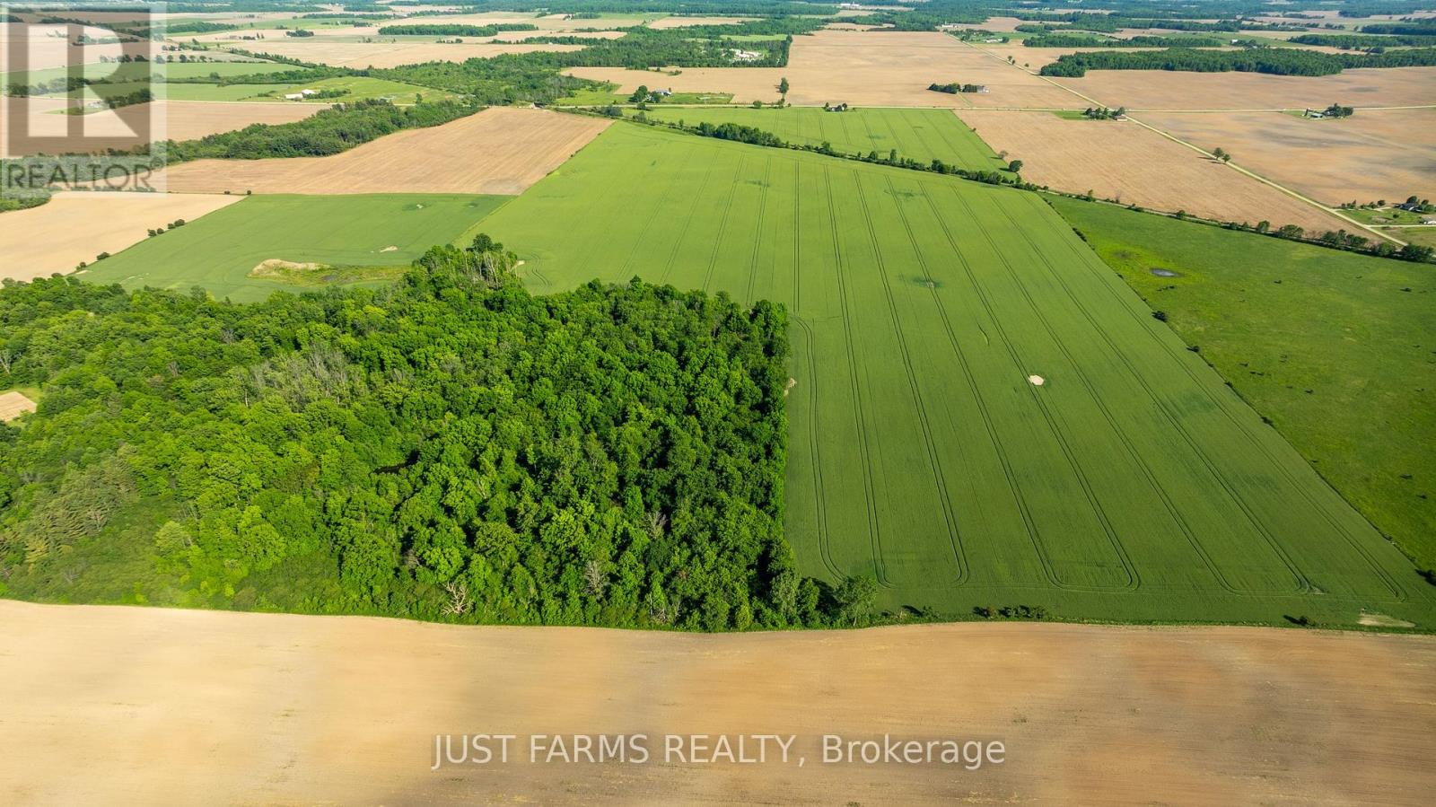 Pt Lt 15 Longwoods Road, Southwest Middlesex, Ontario  N0L 1M0 - Photo 13 - X13487078
