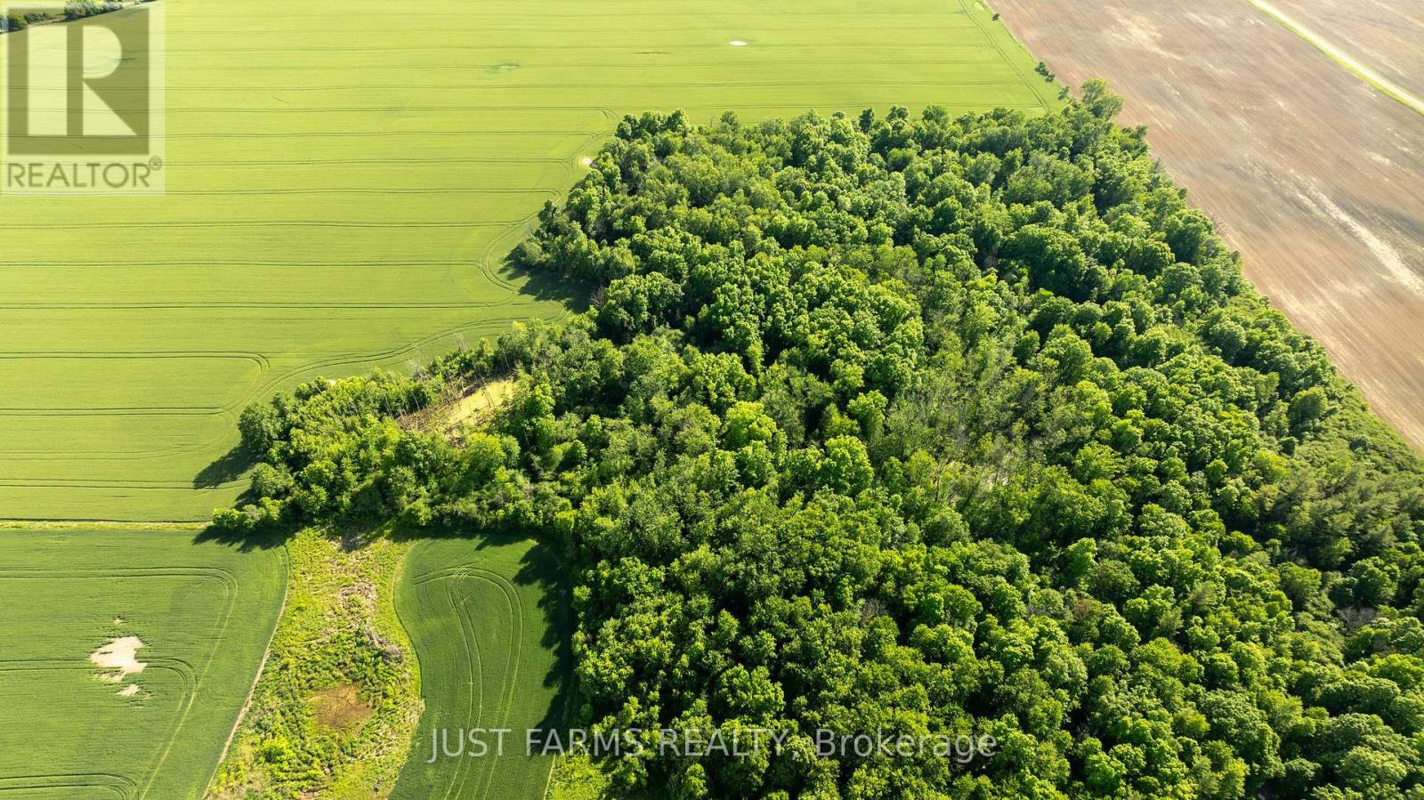 Pt Lt 15 Longwoods Road, Southwest Middlesex, Ontario  N0L 1M0 - Photo 15 - X13487078