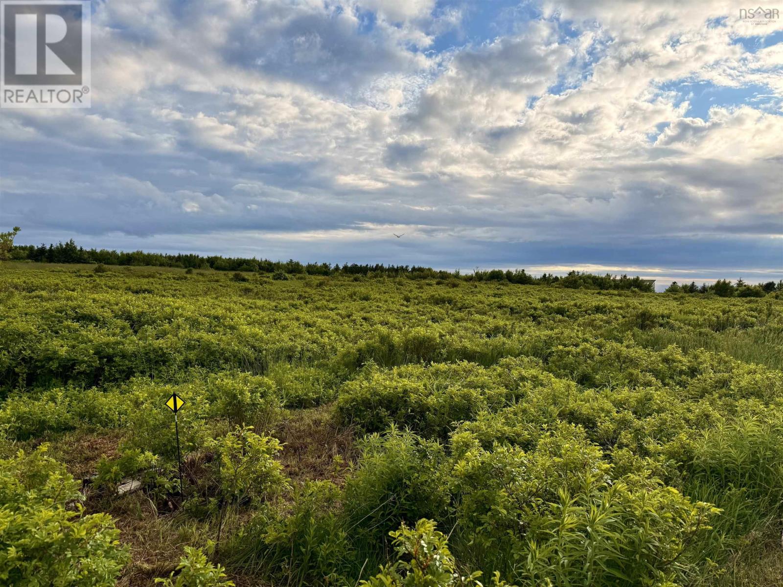 Chemin Simeon Aucoin Road, St. Joseph Du Moine, Nova Scotia  B0E 3A0 - Photo 1 - 202515192