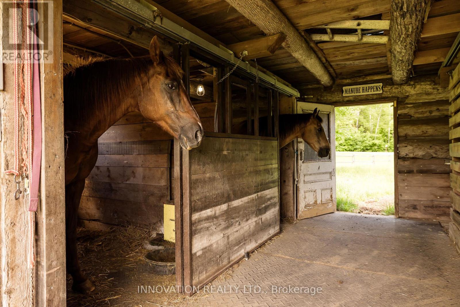 172 Mink Lake Road, North Algona Wilberforce, Ontario  K0J 1T0 - Photo 46 - X13487290