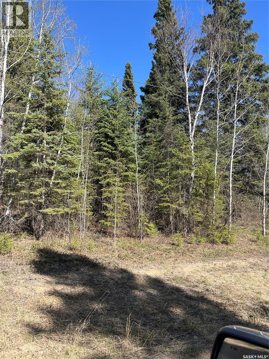 6 Buckingham TRAIL, Big River Rm No. 555, Saskatchewan