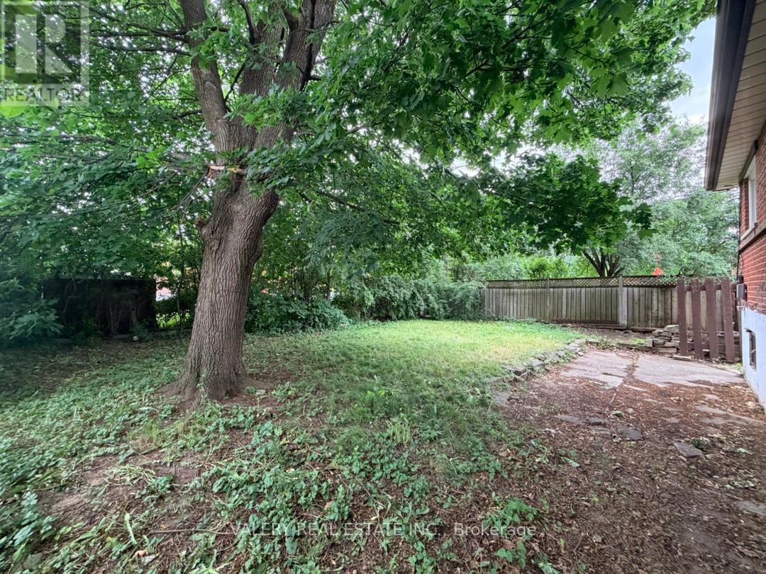 Main - 64 Lexington Avenue, Toronto, Ontario  M9V 2G8 - Photo 38 - W13469446
