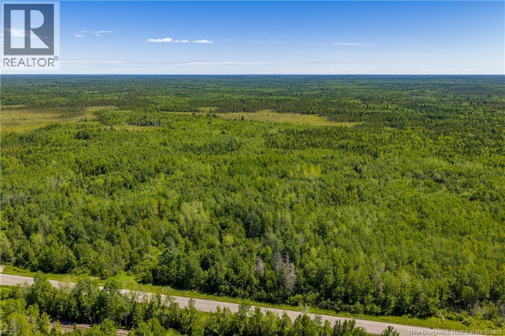 Lot #9 Route 126, Noinville, New Brunswick  E4Y 2K1 - Photo 10 - NB142001