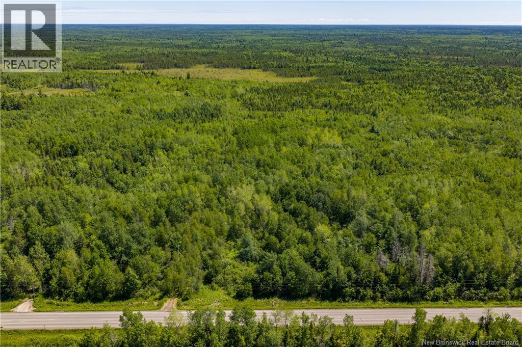 Lot #9 Route 126, Noinville, New Brunswick  E4Y 2K1 - Photo 9 - NB142001