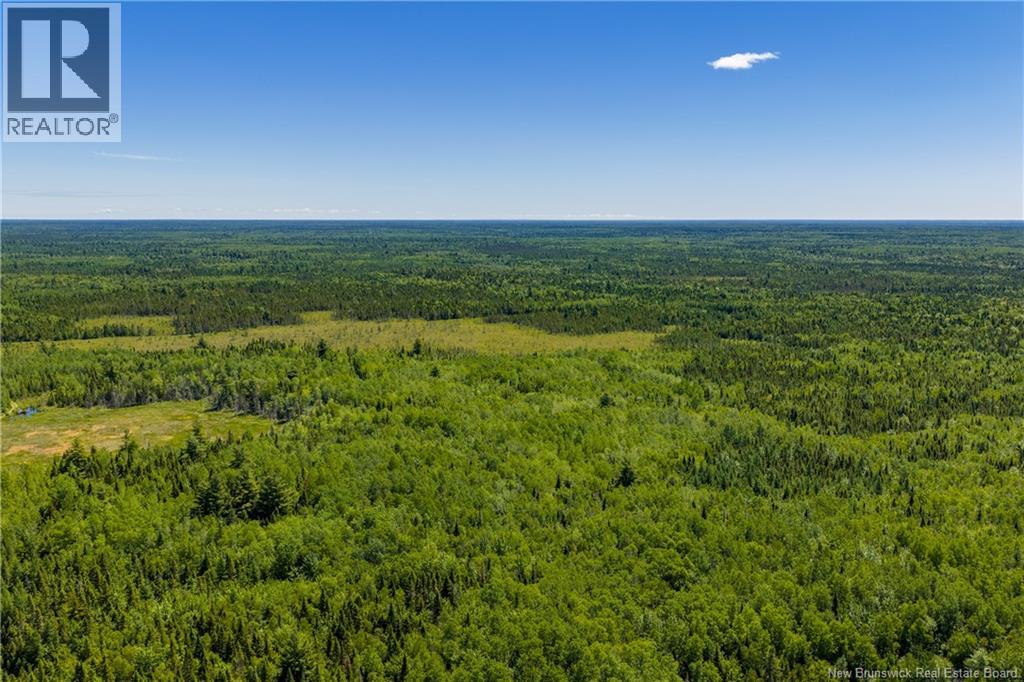 Lot #9 Route 126, Noinville, New Brunswick  E4Y 2K1 - Photo 19 - NB142001