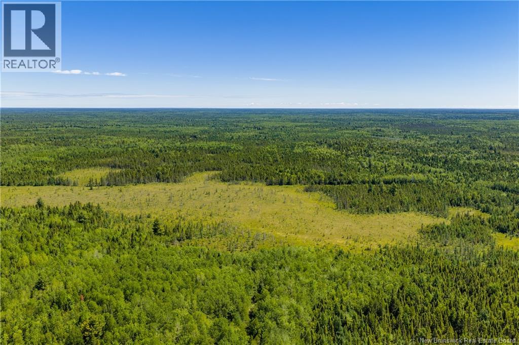 Lot #9 Route 126, Noinville, New Brunswick  E4Y 2K1 - Photo 21 - NB142001