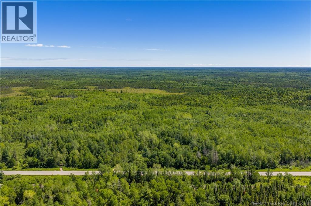 Lot #9 Route 126, Noinville, New Brunswick  E4Y 2K1 - Photo 13 - NB142001