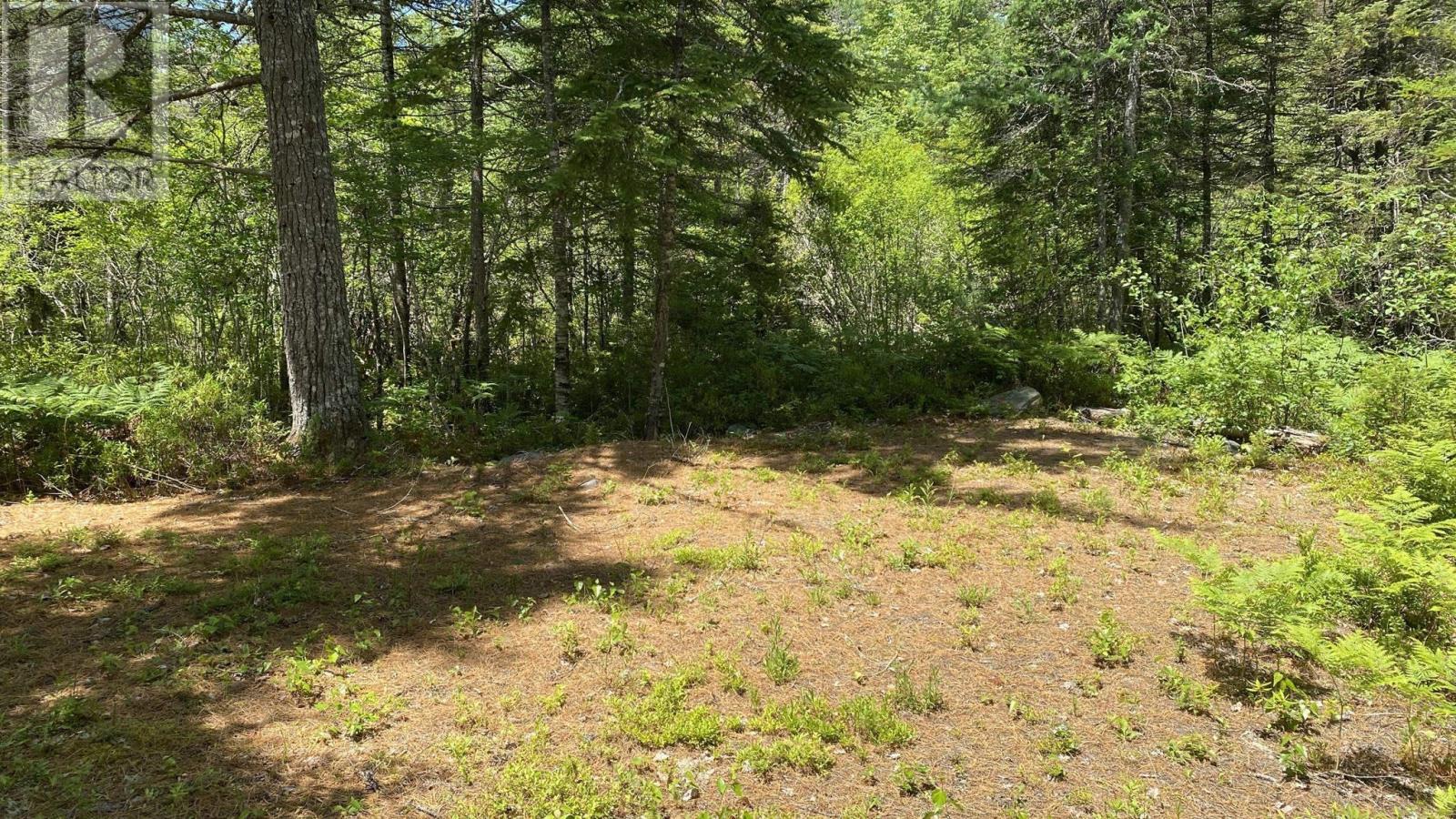 Lot 3 Highway 8, Harmony, Nova Scotia  B0T 1B0 - Photo 3 - 202615393