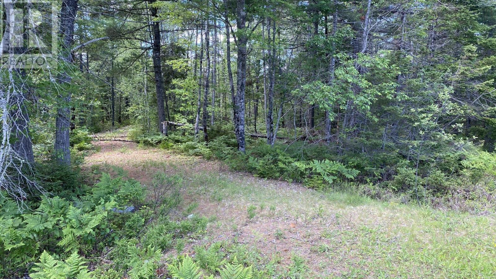Lot 3 Highway 8, Harmony, Nova Scotia  B0T 1B0 - Photo 10 - 202615393