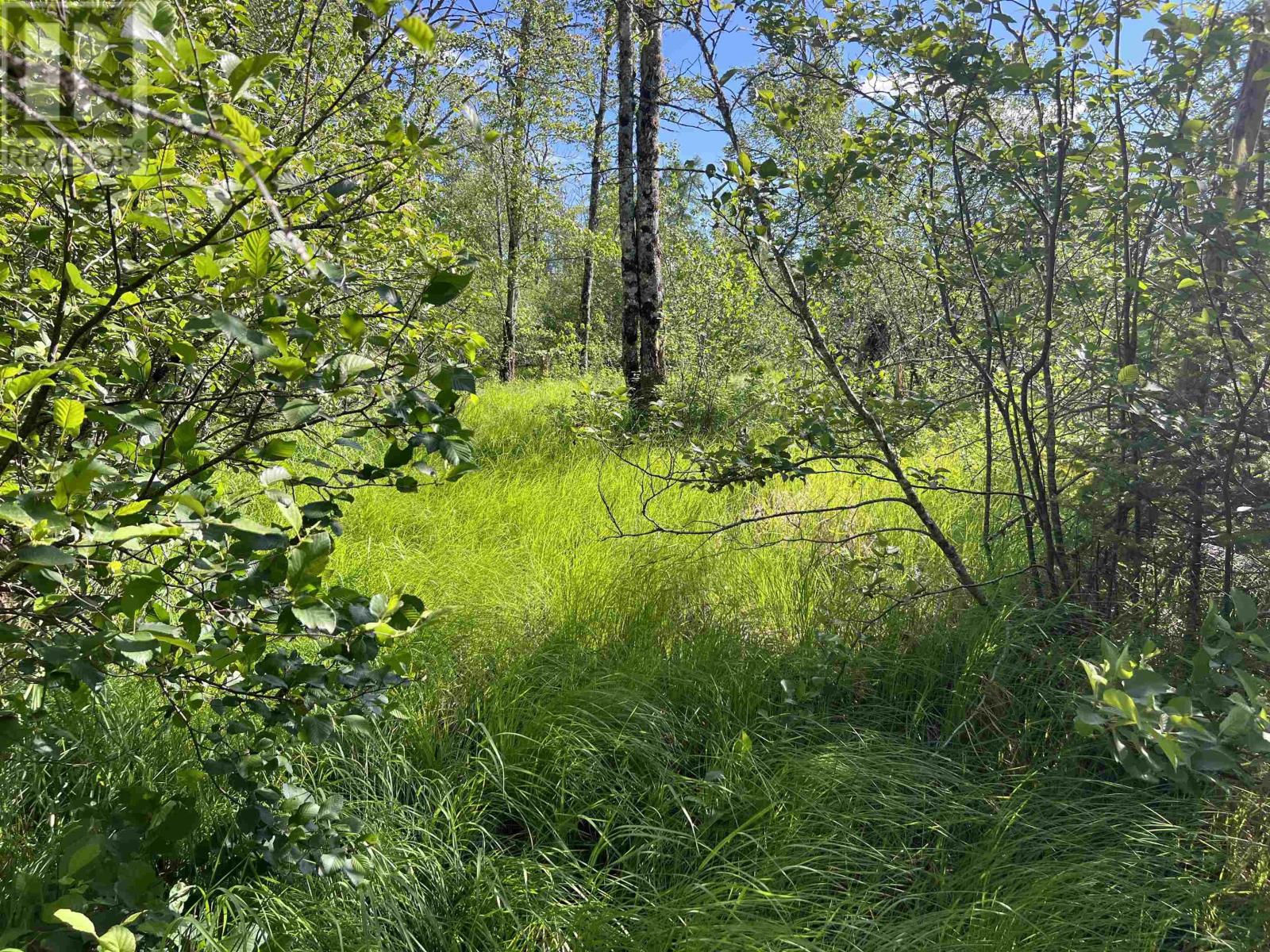 Lot 3 Highway 8, Harmony, Nova Scotia  B0T 1B0 - Photo 12 - 202615393
