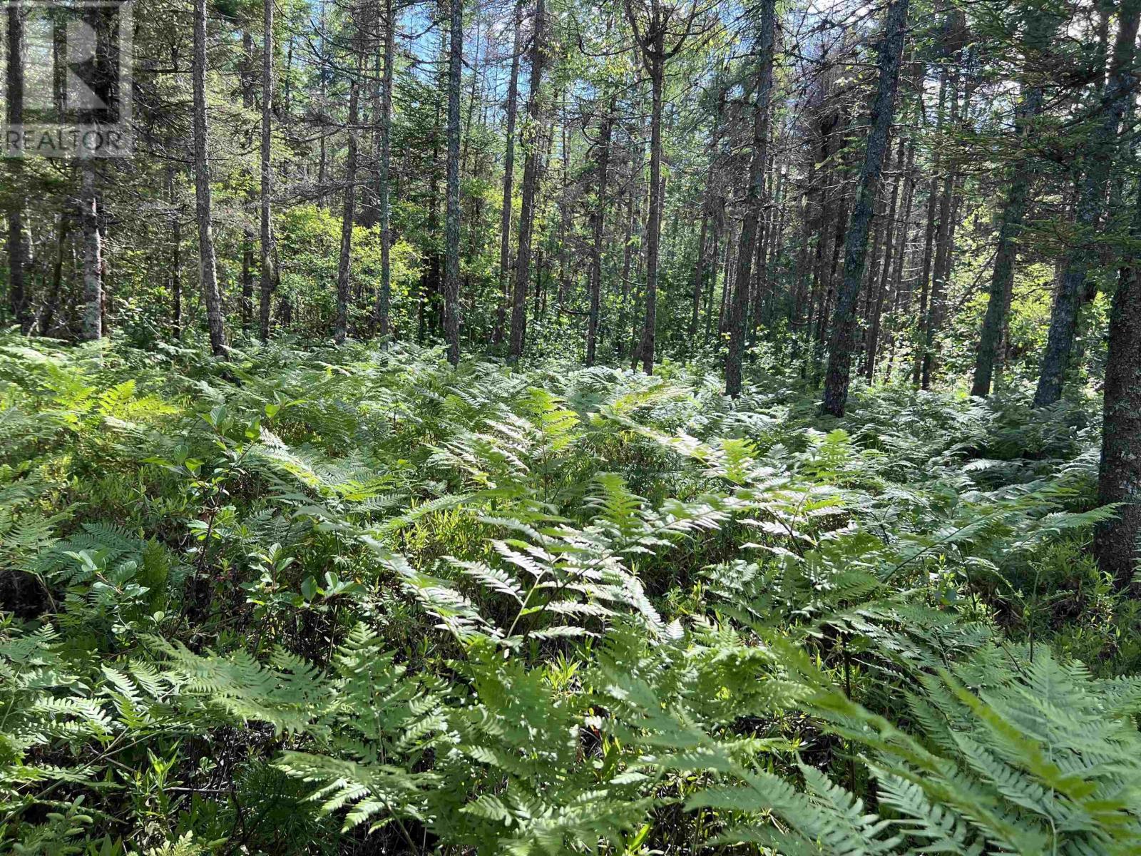 Lot 3 Highway 8, Harmony, Nova Scotia  B0T 1B0 - Photo 25 - 202615393