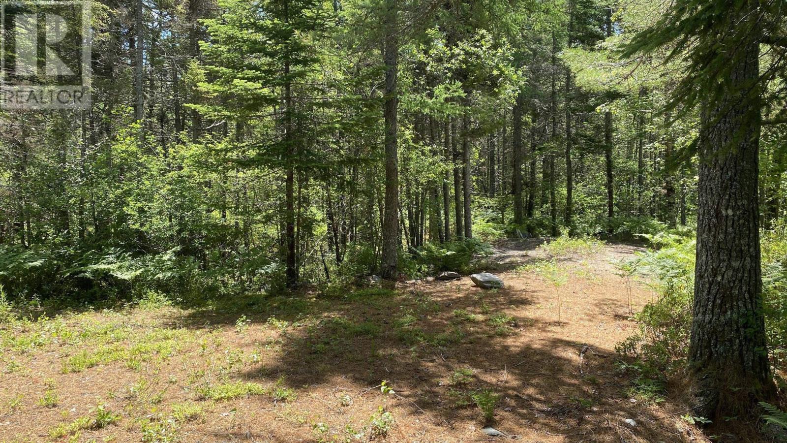 Lot 3 Highway 8, Harmony, Nova Scotia  B0T 1B0 - Photo 7 - 202615393