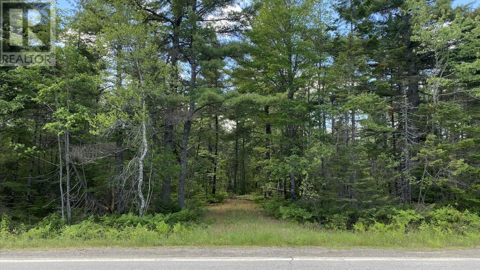 Lot 3 Highway 8, Harmony, Nova Scotia  B0T 1B0 - Photo 11 - 202615393