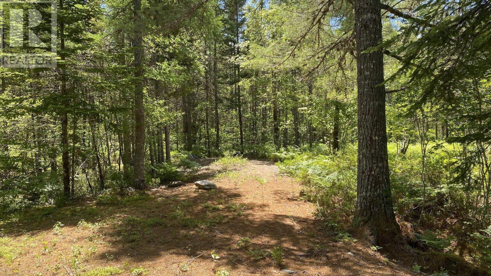 Lot 3 Highway 8, Harmony, Nova Scotia  B0T 1B0 - Photo 6 - 202615393