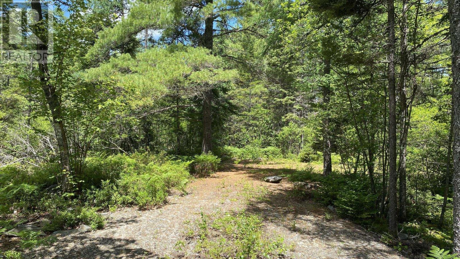 Lot 3 Highway 8, Harmony, Nova Scotia  B0T 1B0 - Photo 8 - 202615393