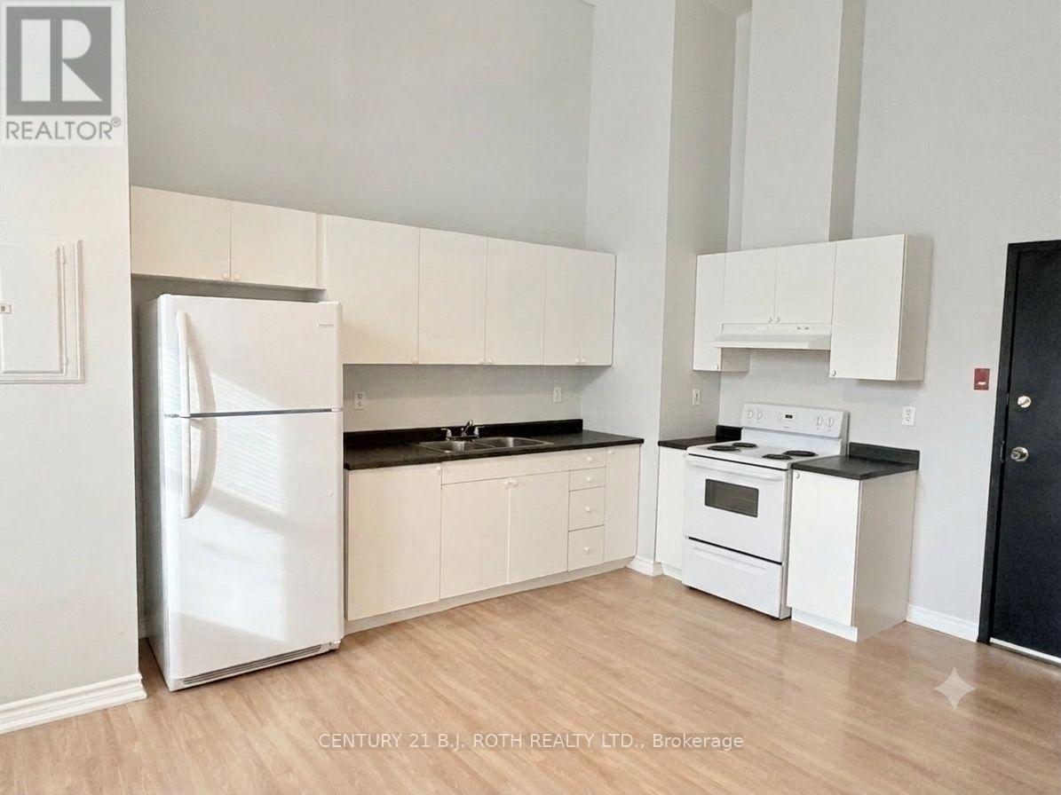 205 - 19 Dunlop Street W, Barrie, Ontario  L4N 1A1 - Photo 4 - S13018170