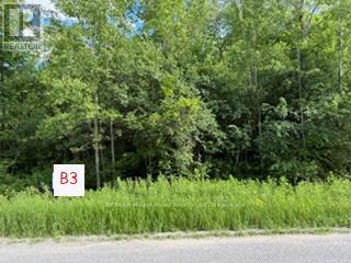 B3 Old Shelter Valley Road, Cramahe, Ontario  K0K 1M0 - Photo 2 - X13176526