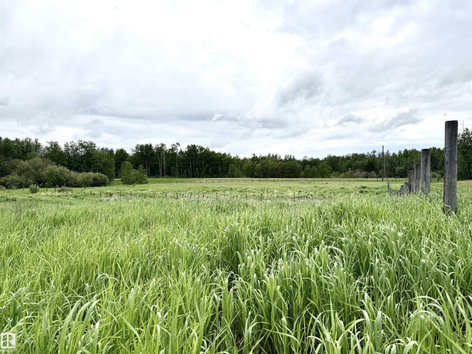 20126l Twp Rd 502, Rural Beaver County, Alberta  T0B 4J2 - Photo 10 - E4495098