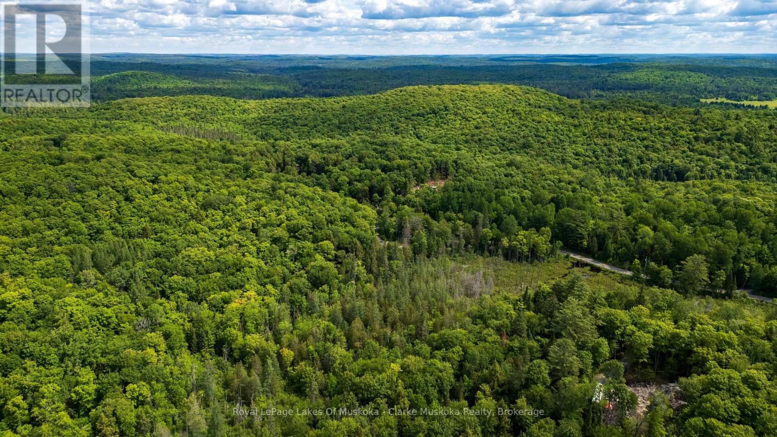 344 North Fox Lake Road, Huntsville, Ontario  P1H 2J2 - Photo 11 - X13485472
