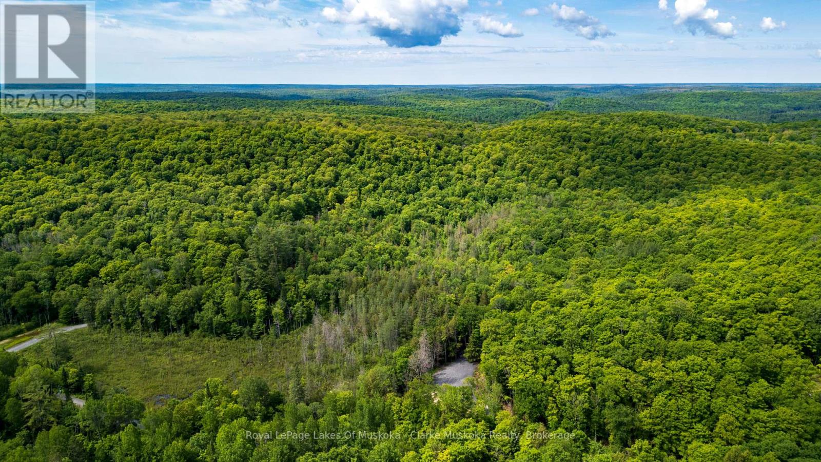 344 North Fox Lake Road, Huntsville, Ontario  P1H 2J2 - Photo 8 - X13485472
