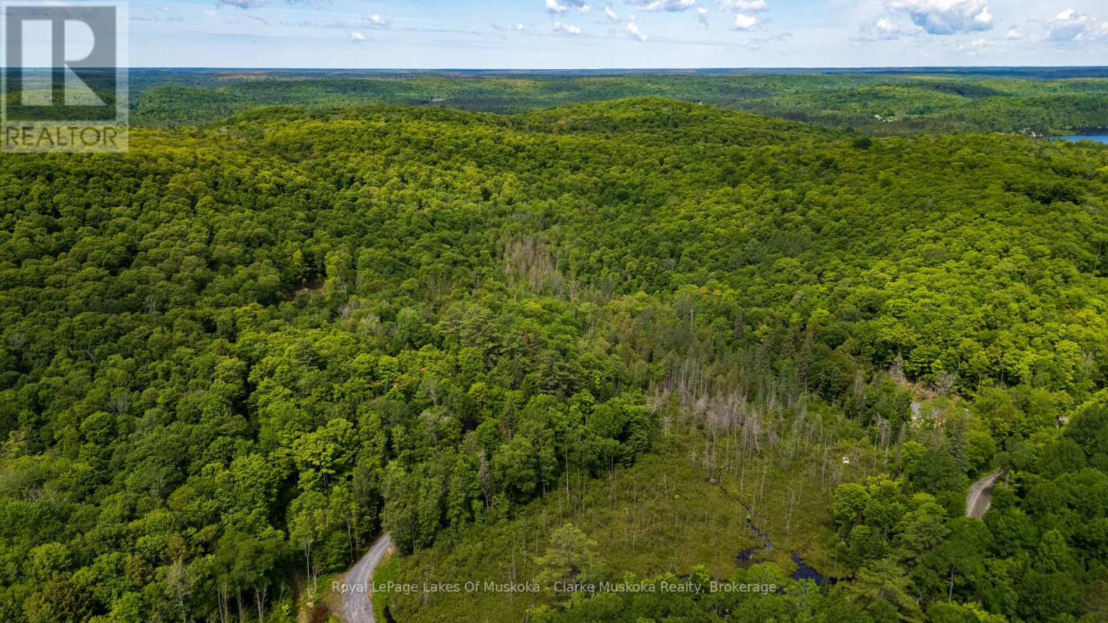 344 North Fox Lake Road, Huntsville, Ontario  P1H 2J2 - Photo 9 - X13485472