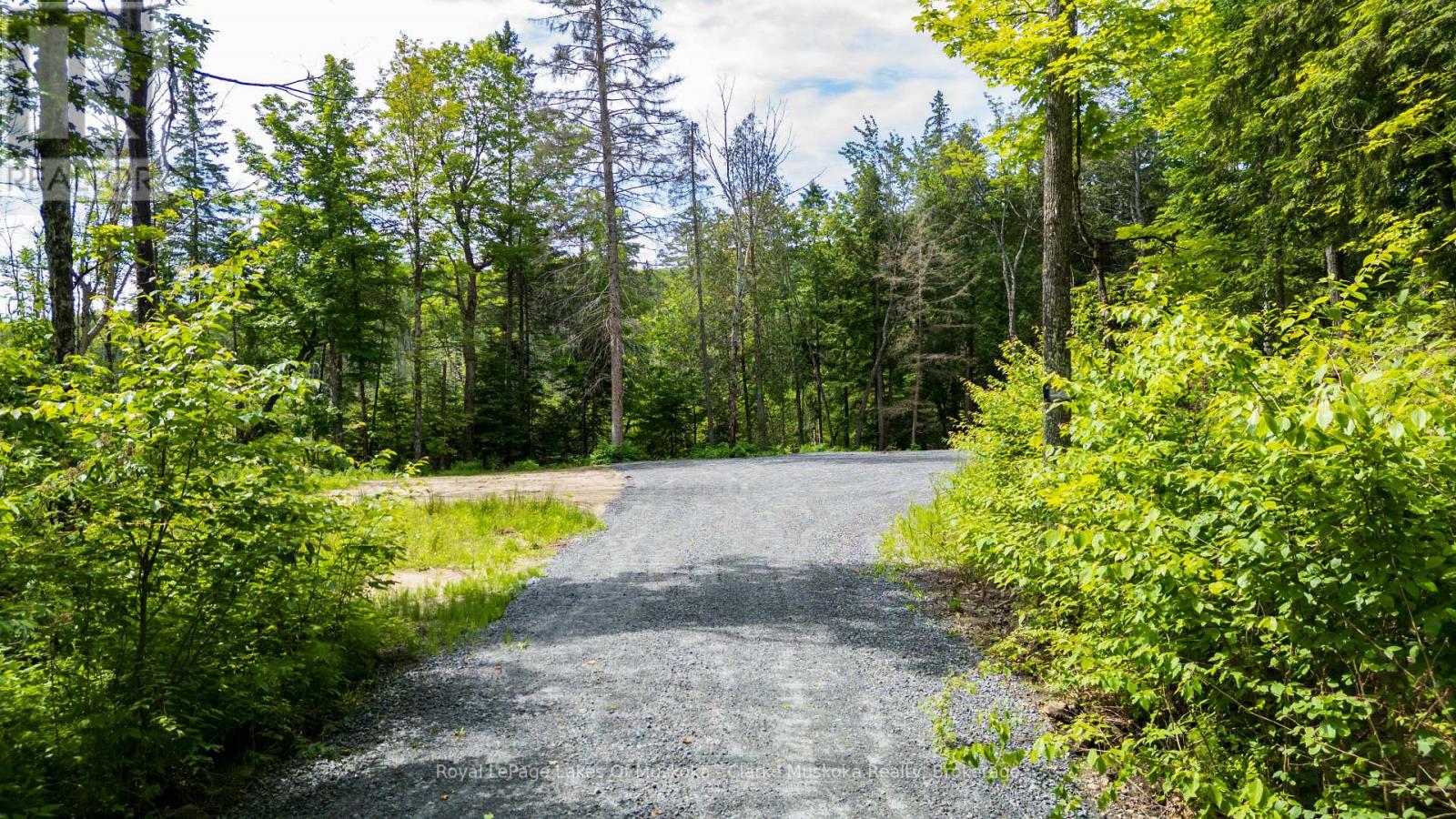 344 North Fox Lake Road, Huntsville, Ontario  P1H 2J2 - Photo 4 - X13485472
