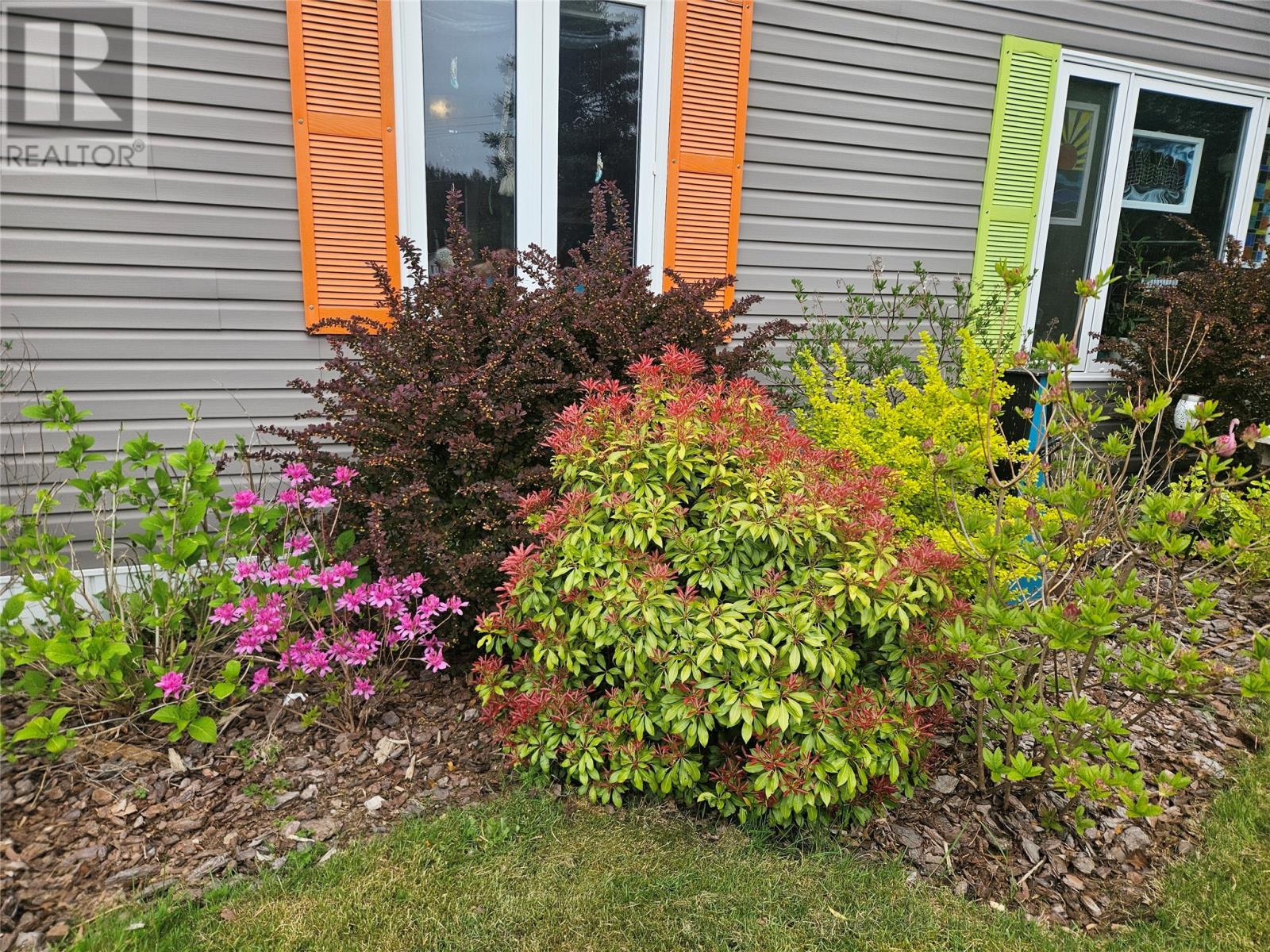 Photo 14