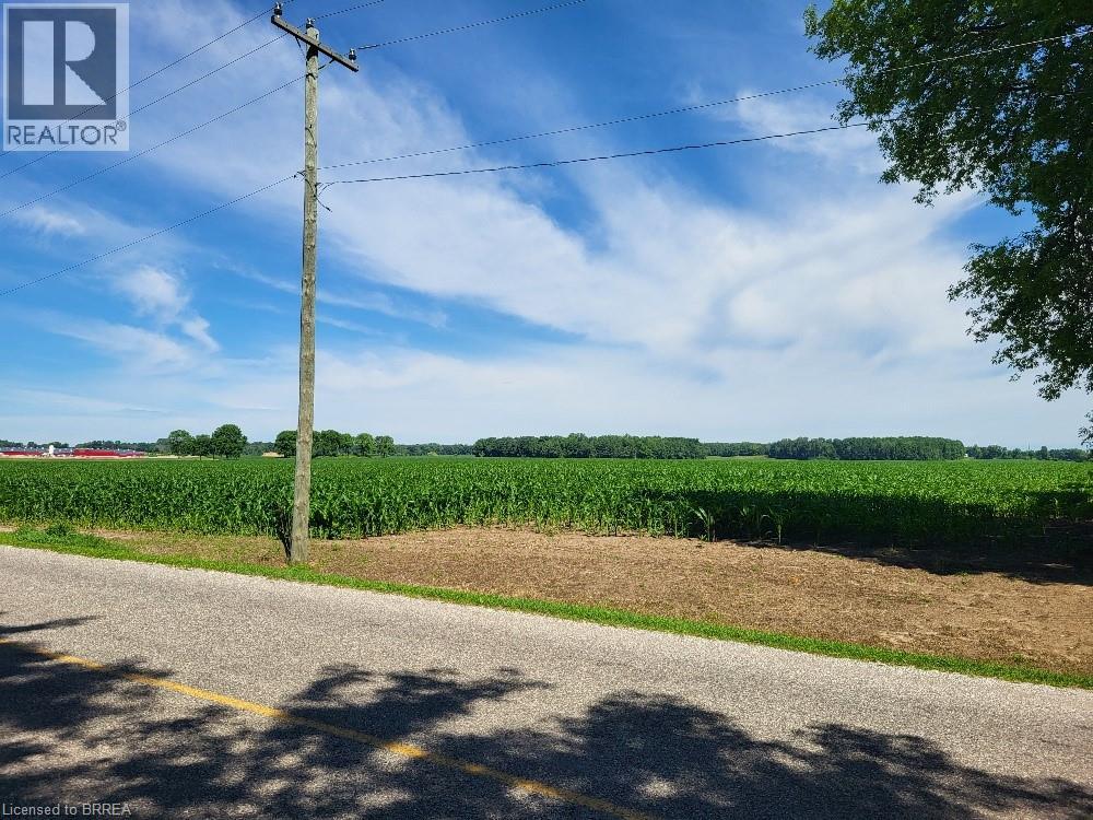 166086 New Road, Otterville, Ontario  N0E 1H0 - Photo 3 - 40820807