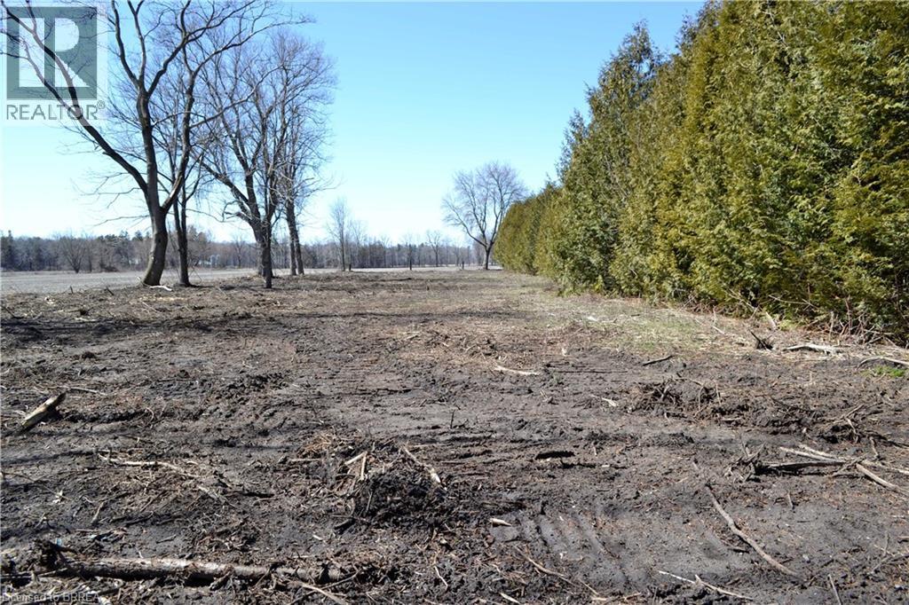 166086 New Road, Otterville, Ontario  N0E 1H0 - Photo 18 - 40820807