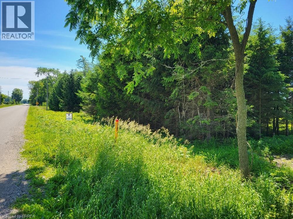 166086 New Road, Otterville, Ontario  N0E 1H0 - Photo 2 - 40820807
