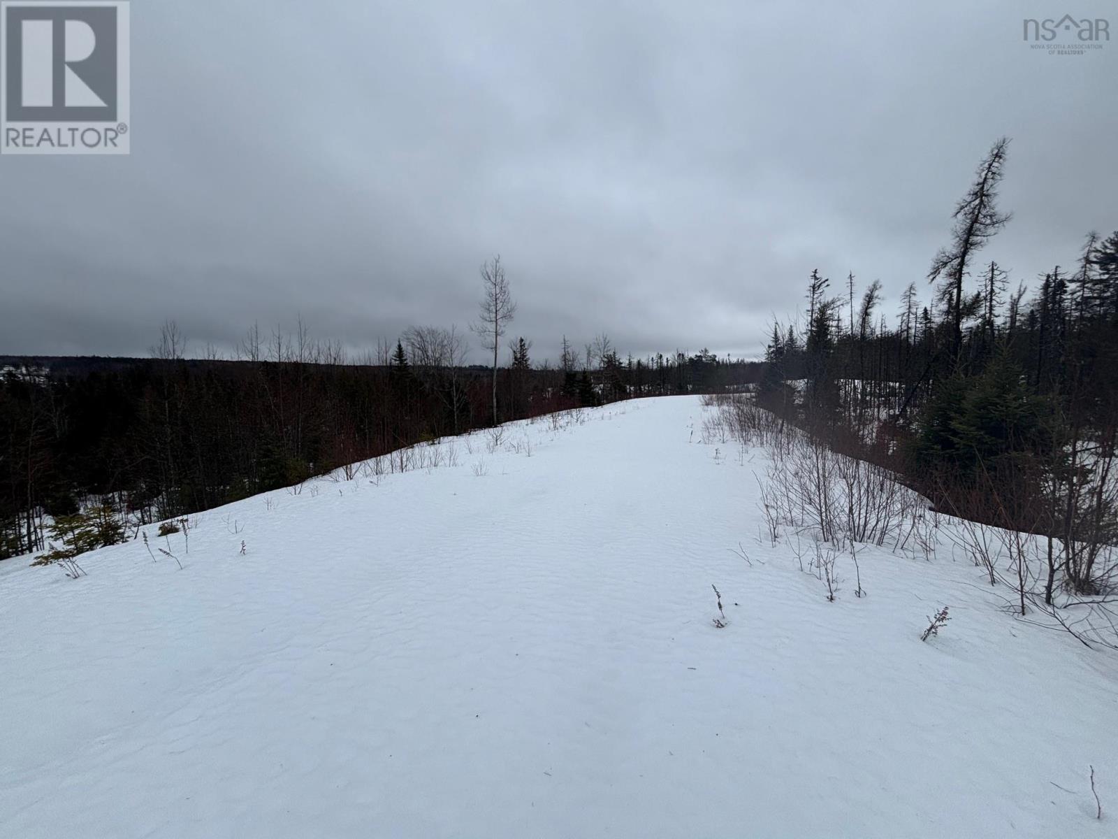 826 Boars Back Road Road, Pettigrew Settlement, Nova Scotia  B0M 1W0 - Photo 35 - 202607516