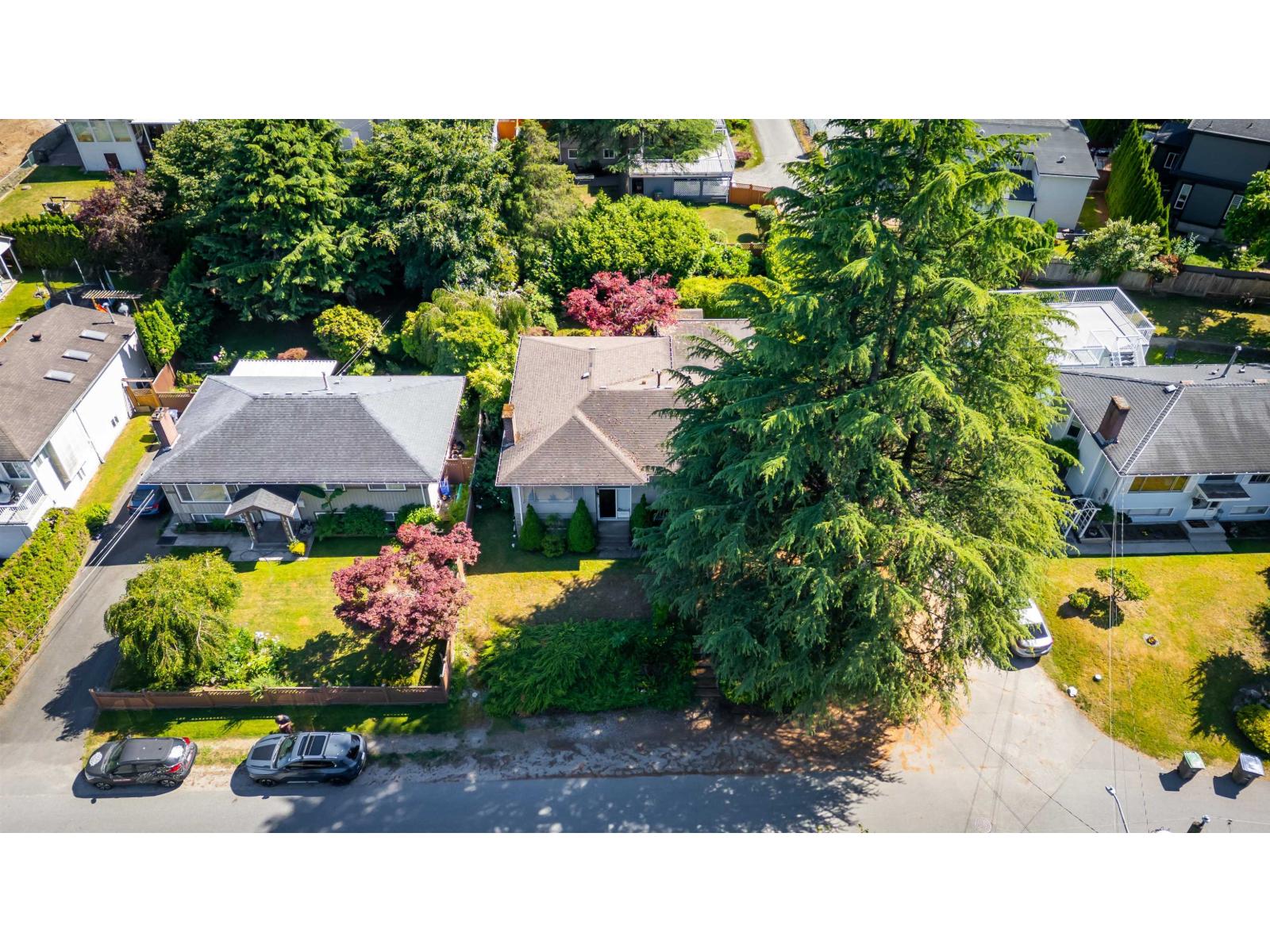 12534 Grove Crescent, Surrey, British Columbia  V3V 2L7 - Photo 4 - R3139374