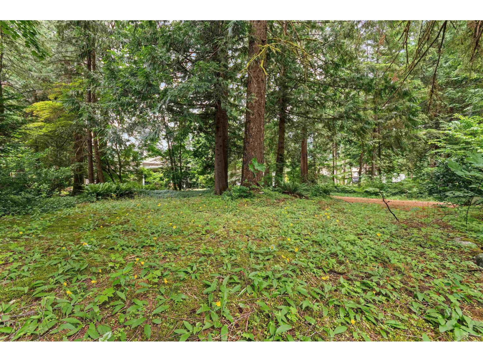 100 Robertson Crescent, Hope, Hope, British Columbia  V0X 1L4 - Photo 40 - R3131147