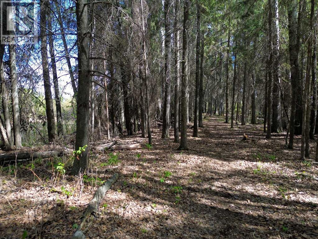 44015 37-4 Township, Rural Clearwater County, Alberta  T0M 0P0 - Photo 31 - A2313203