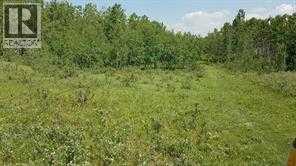 W-5.r-5,t-26,s-13,q-SW And W-5,r-5,t-26, S-13, Q-S, Rural Rocky View County, Alberta  T0L 1N0 - Photo 28 - A2278938
