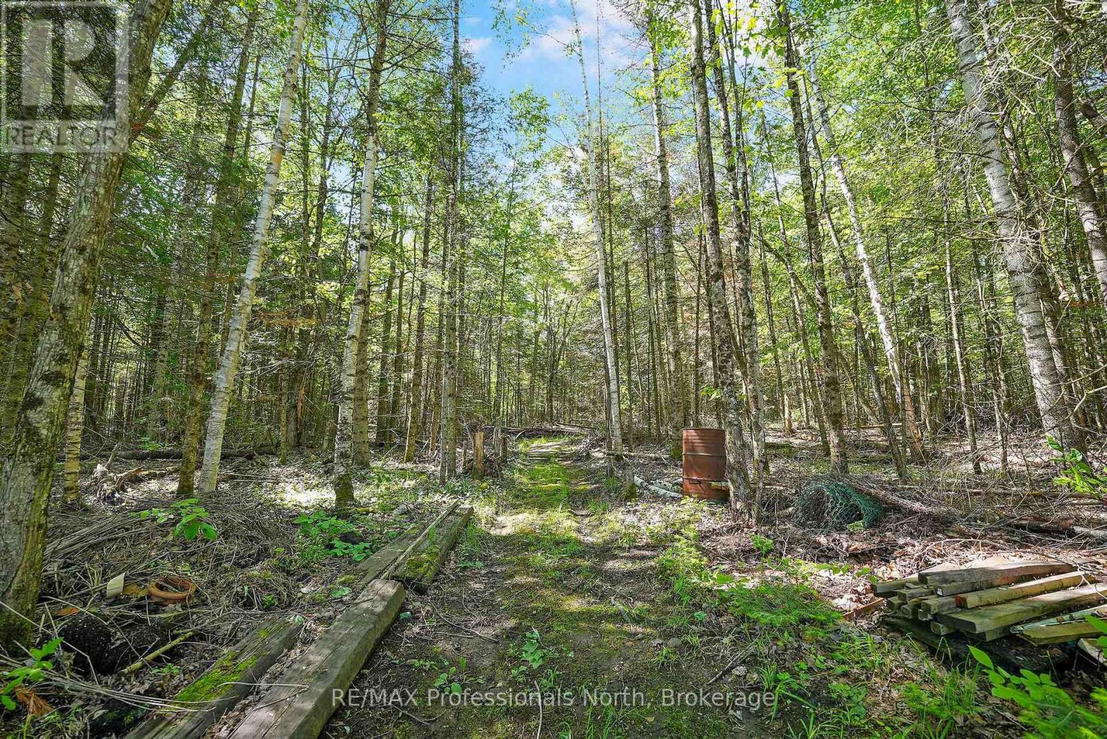 3389 Gelert Road, Minden Hills, Ontario  K0M 2K0 - Photo 38 - X13488348