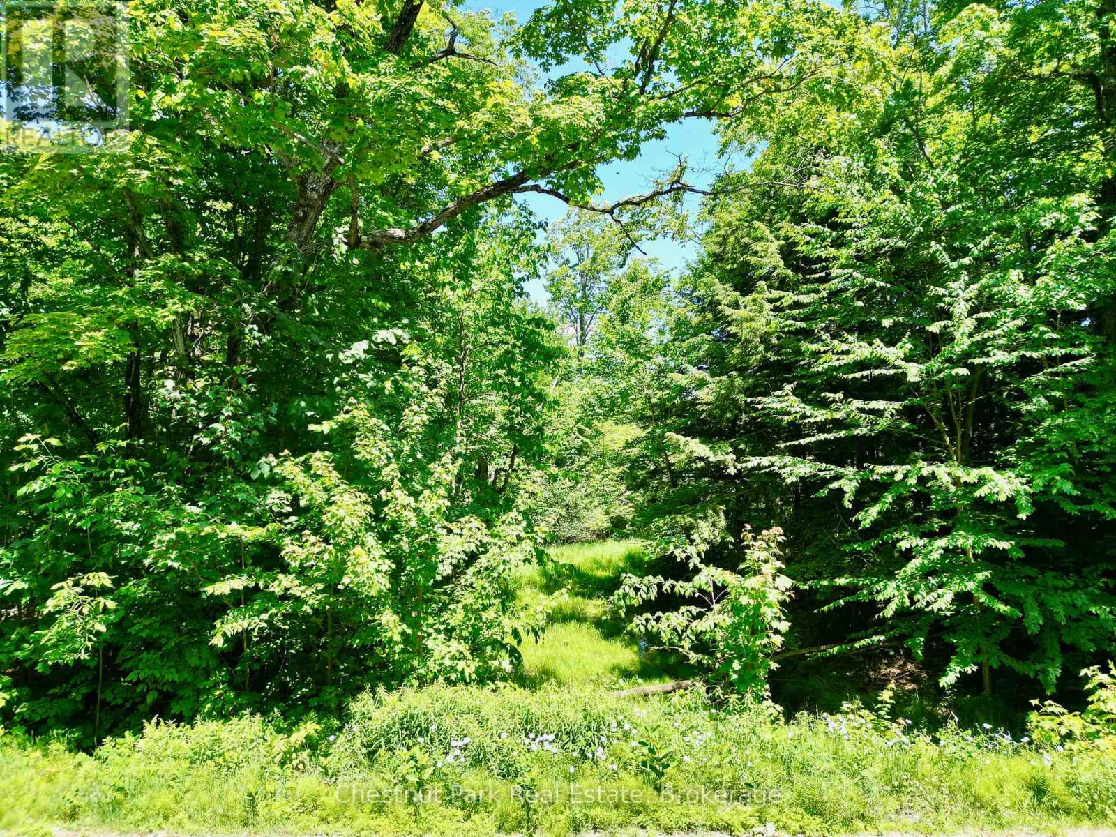 0 Acton Island Road, Muskoka Lakes, Ontario  P0B 1J0 - Photo 2 - X13488426