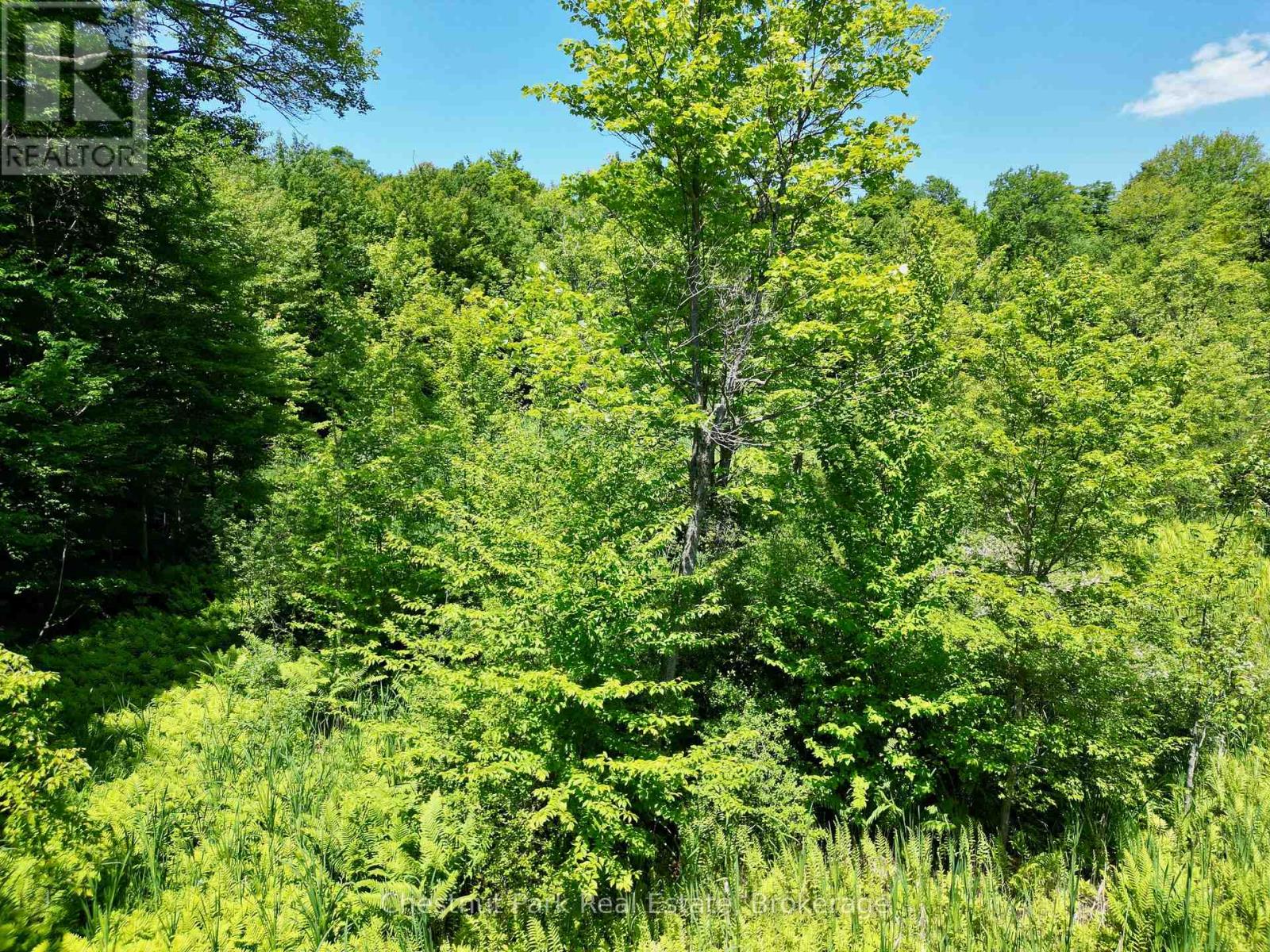 0 Acton Island Road, Muskoka Lakes, Ontario  P0B 1J0 - Photo 3 - X13488426