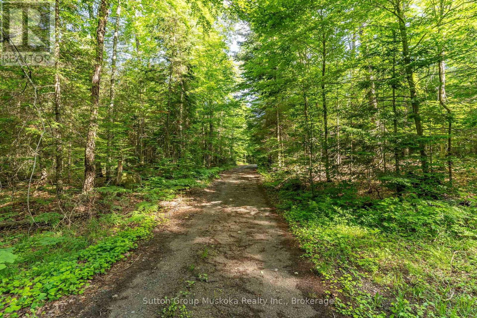 614 Britannia Road, Huntsville, Ontario  P1H 2J3 - Photo 10 - X13488872