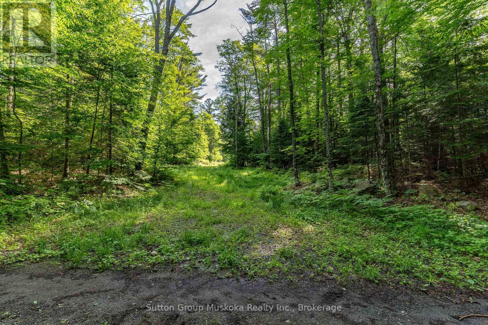 614 Britannia Road, Huntsville, Ontario  P1H 2J3 - Photo 11 - X13488872