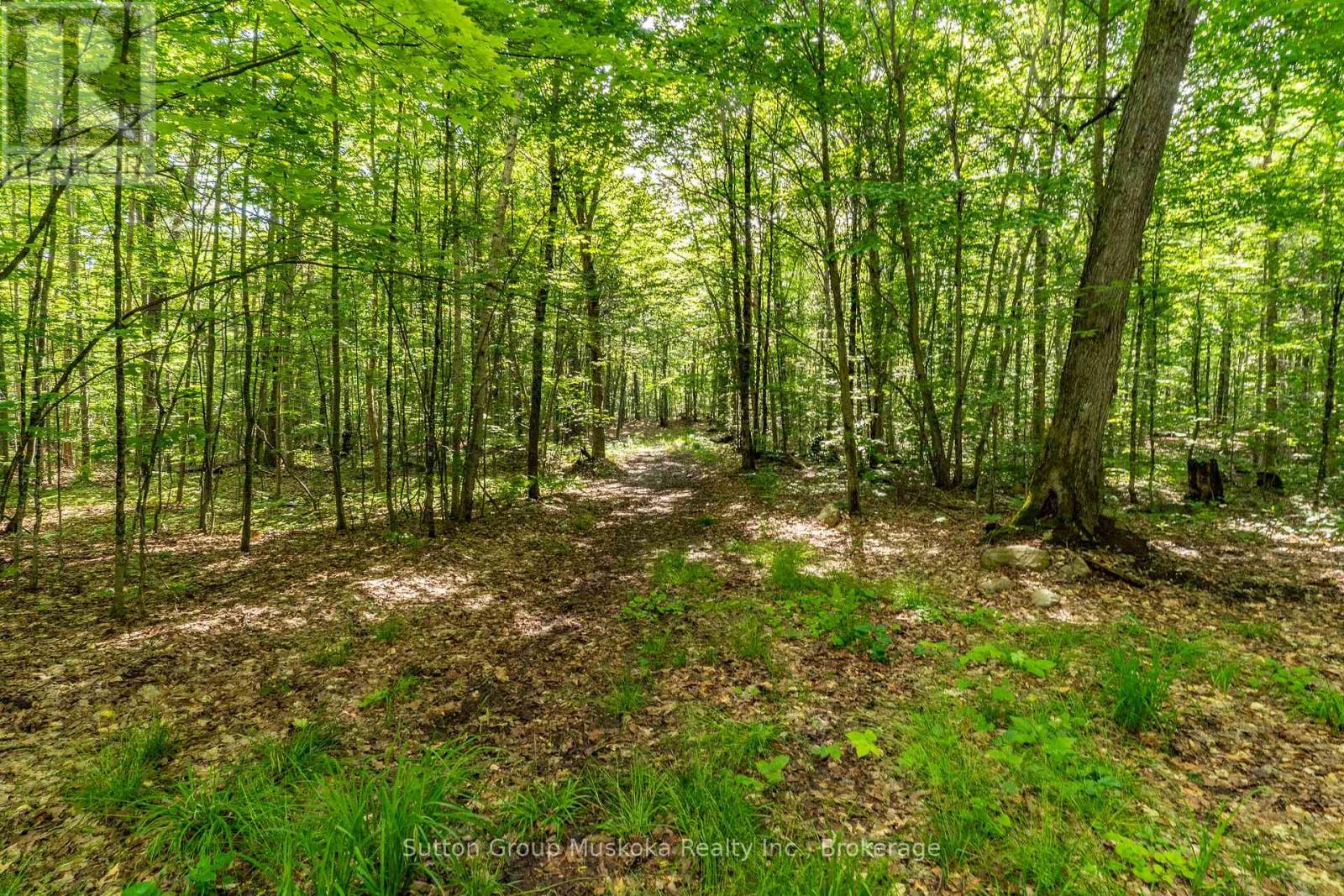 614 Britannia Road, Huntsville, Ontario  P1H 2J3 - Photo 13 - X13488872