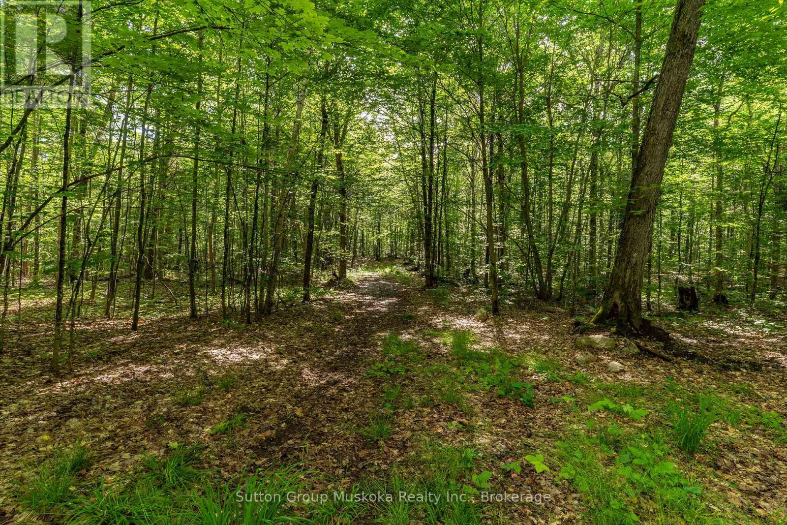 614 Britannia Road, Huntsville, Ontario  P1H 2J3 - Photo 14 - X13488872