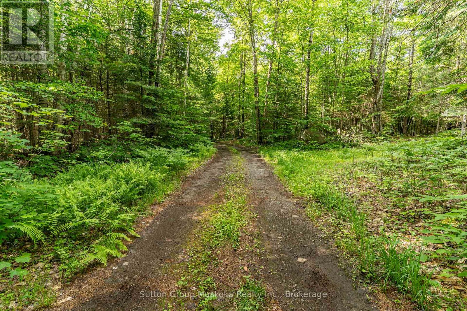 614 Britannia Road, Huntsville, Ontario  P1H 2J3 - Photo 18 - X13488872