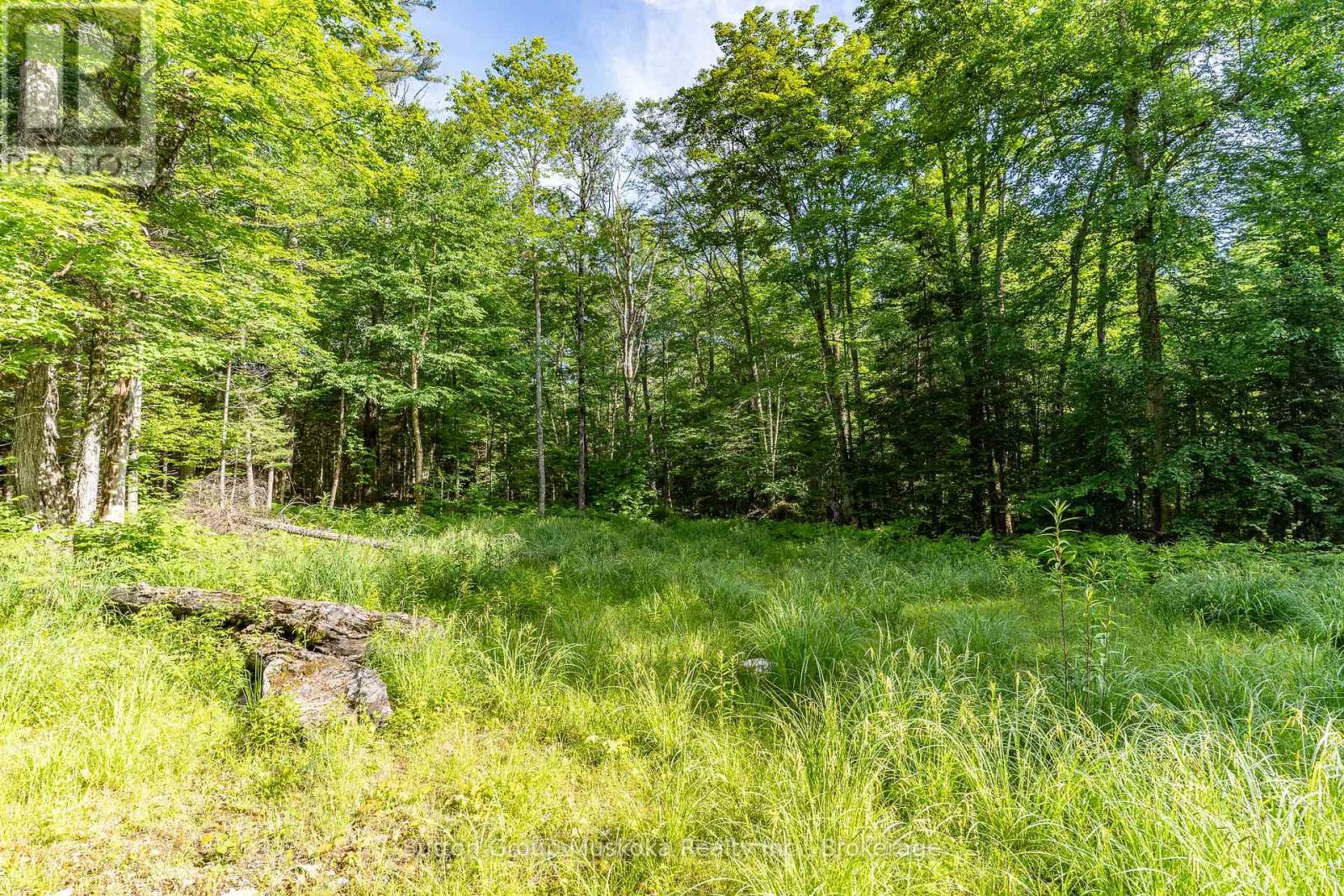 614 Britannia Road, Huntsville, Ontario  P1H 2J3 - Photo 4 - X13488872