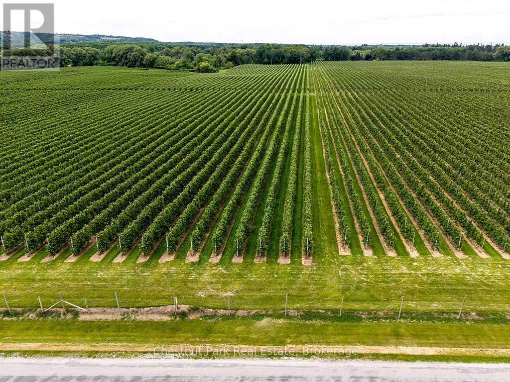 Pt Lt 31 Sideroad 30, Blue Mountains, Ontario  N0H 2P0 - Photo 7 - X13473954