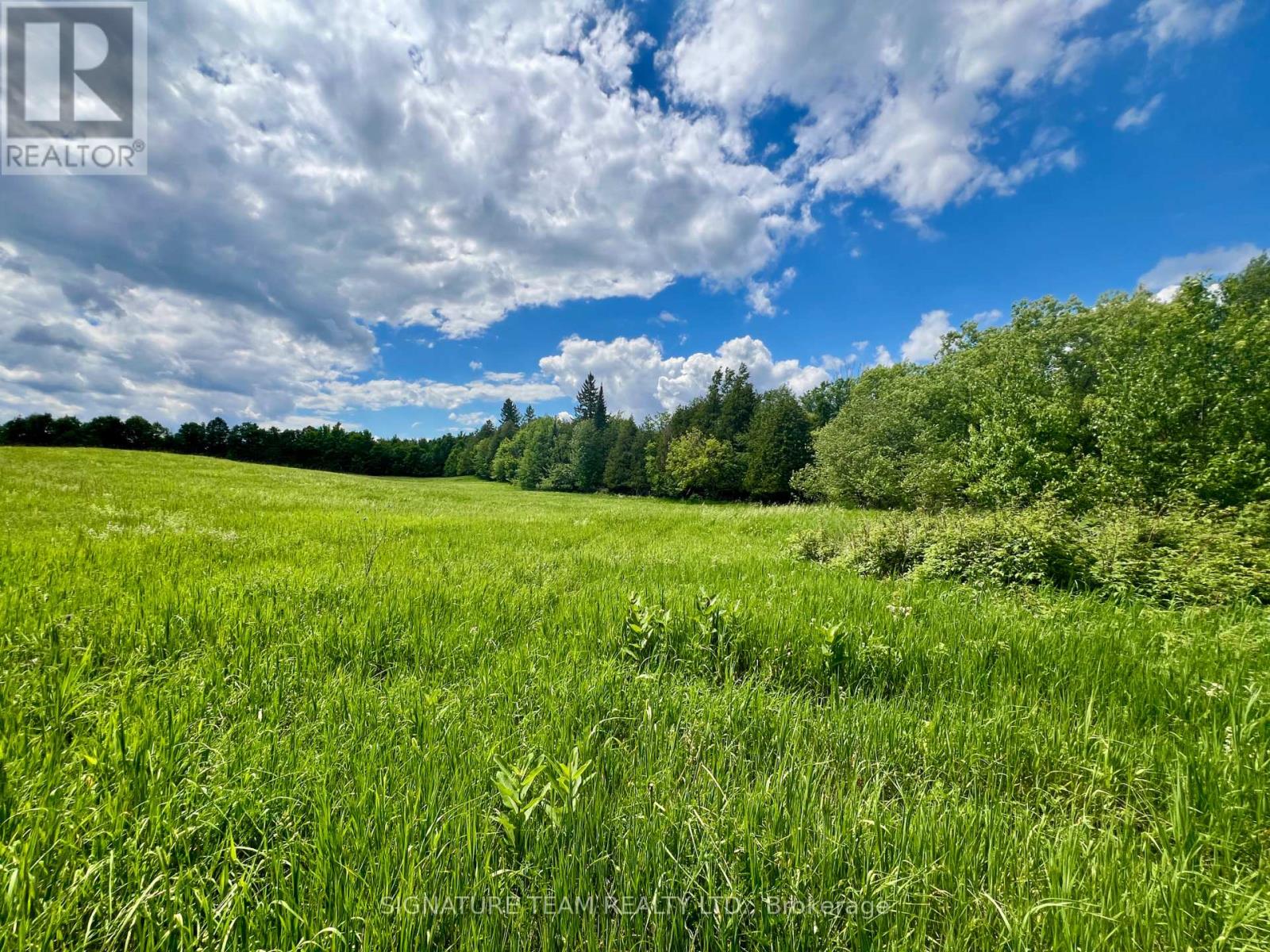 9390 60 Highway, North Algona Wilberforce, Ontario  K0J 1T0 - Photo 32 - X13109646